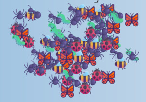 bugs